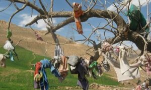 IMG_20231119_135715_987