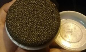 IMG_20250124_131040_876