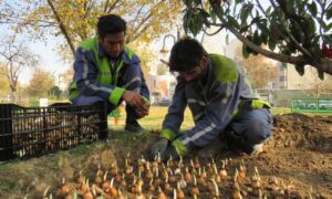 IMG_20251211_144345_546