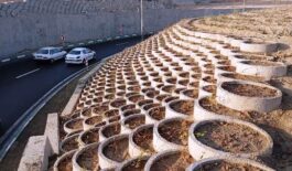 photo_2025-11-30_09-41-05