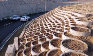 photo_2025-11-30_09-41-05